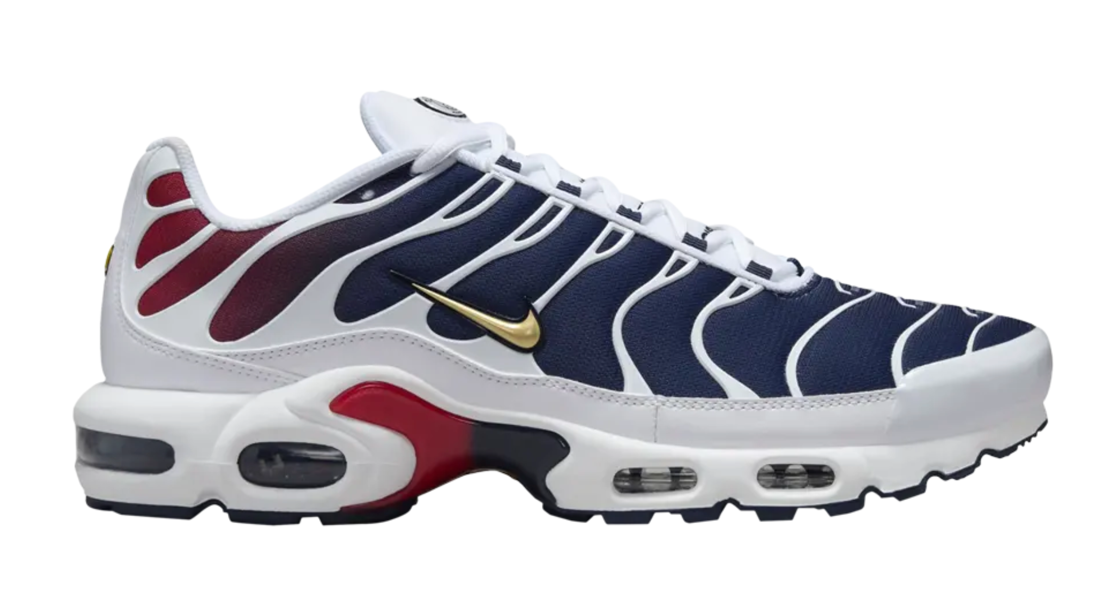 Nike Air Max Plus PSG